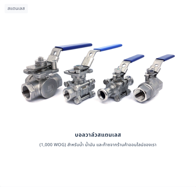 Newsletter - Swiss Fittings Co.,Ltd